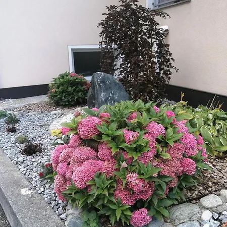 Lantgård Hänsler's Hof *