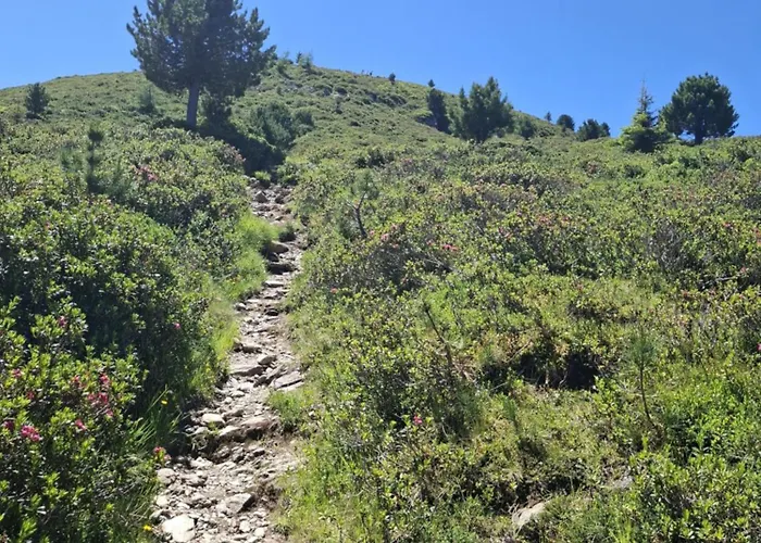 Vakantieboerderij Haensler's Hof *